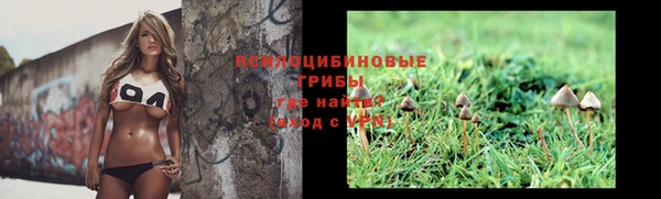 стаф Абаза