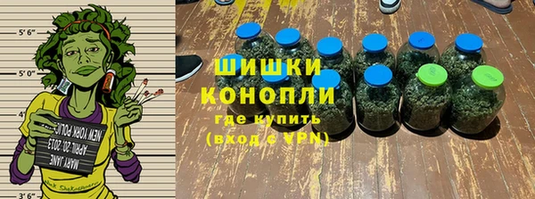 стаф Абаза