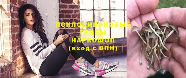 круглые Алексеевка